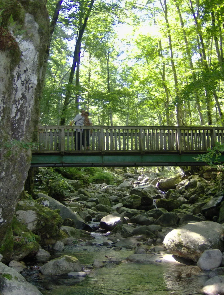 Une passerelle en bois franchit l’Agnone près des Cascades des Anglais.