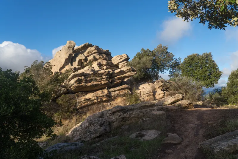 Rochers et végétation sur le sentier des crêtes, entre Finosa et le Cinaraggio.
