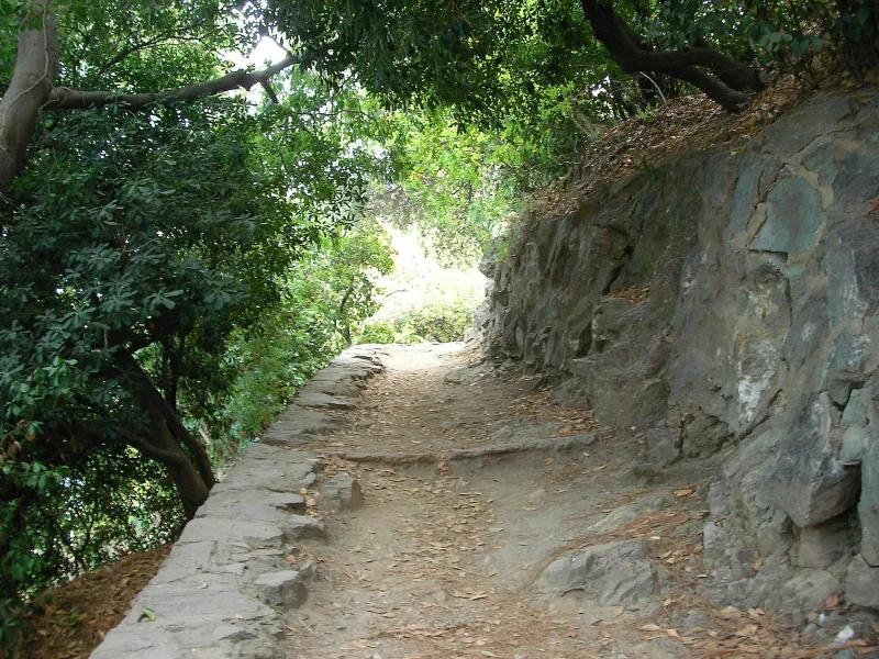 Un chemin ombragé du jardin Romieu, entre le Vieux-Port et la citadelle.