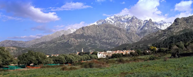 Calenzana entre les oliviers et les montagnes de Balagne.