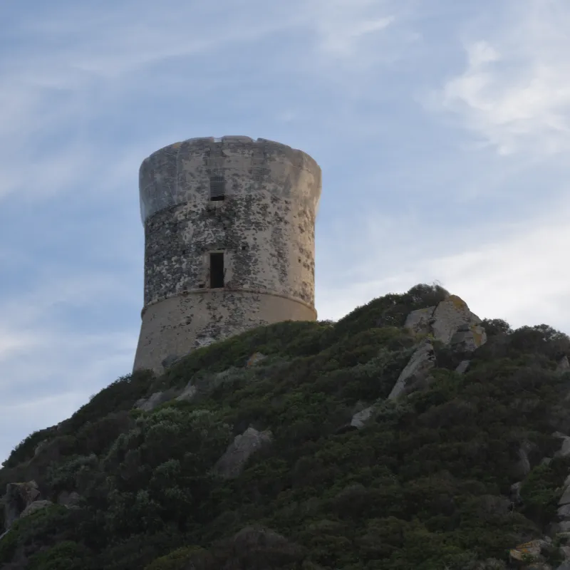 La tour de la Parata sur son promontoire rocheux.