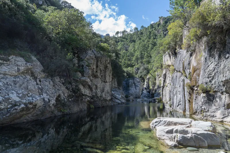 Les falaises et les eaux du Tavignano dans une partie encaissée des gorges.