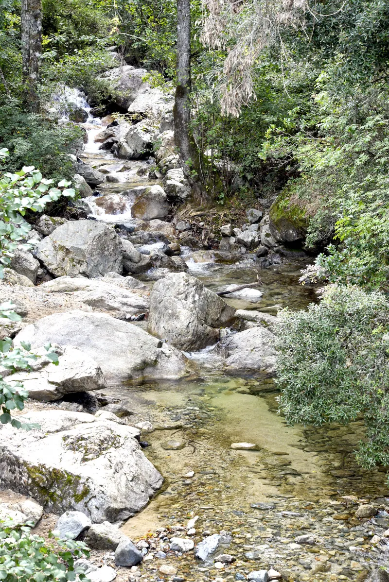 Le ruisseau de Trotto en amont du pont de Salicio.