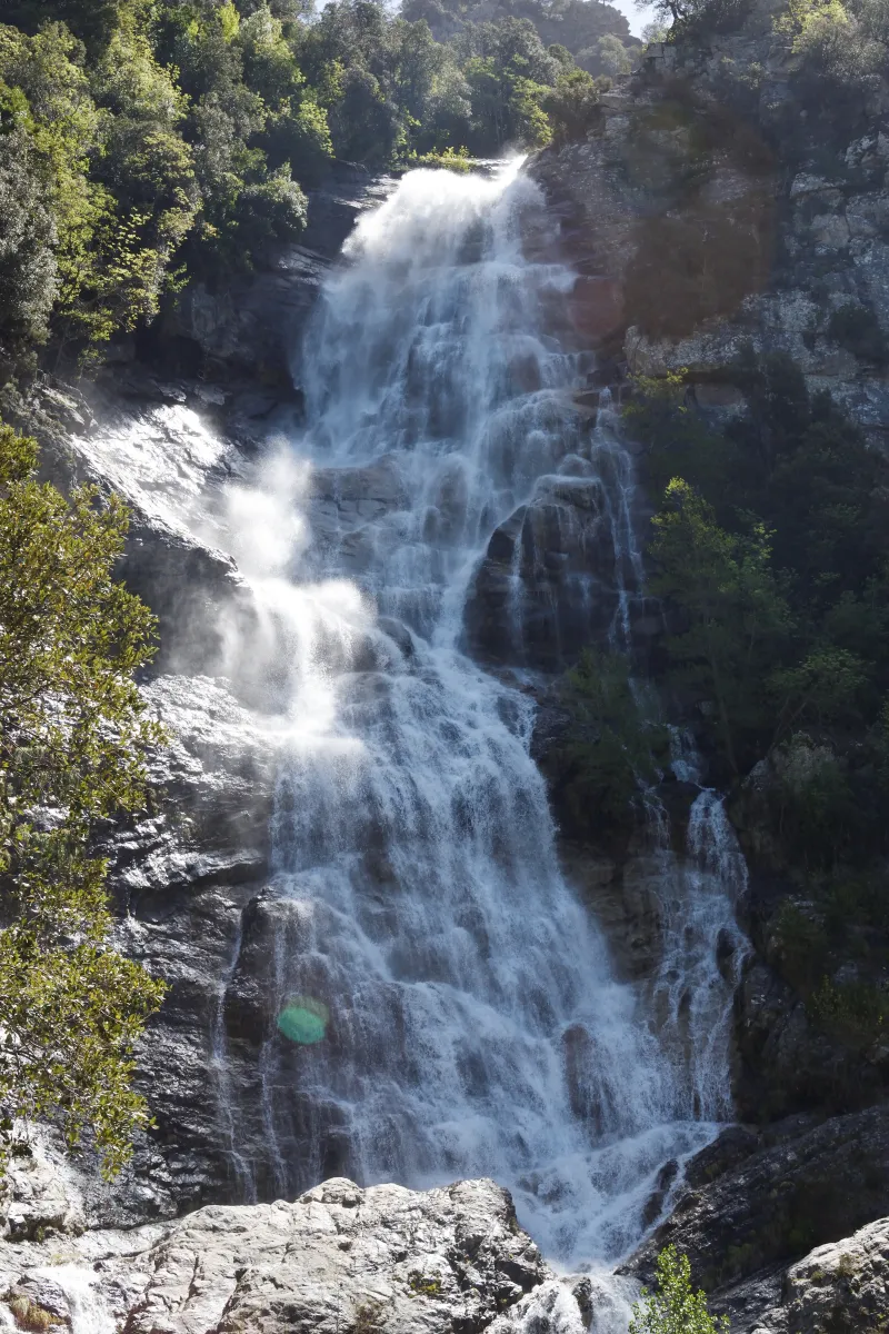 Le Voile de la Mariée descend sur la paroi rocheuse au-dessus de la végétation.