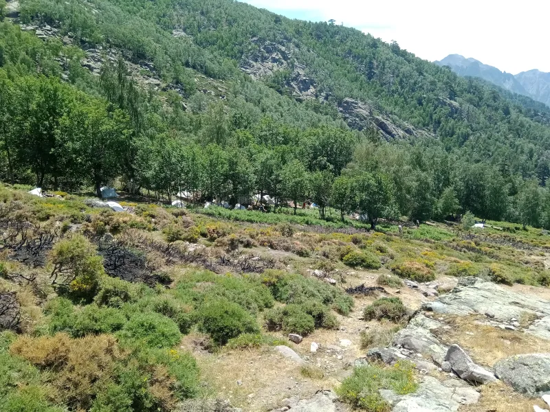 Le bivouac d’Ortu di u Piobbu dans son cadre montagneux, en juin 2022.