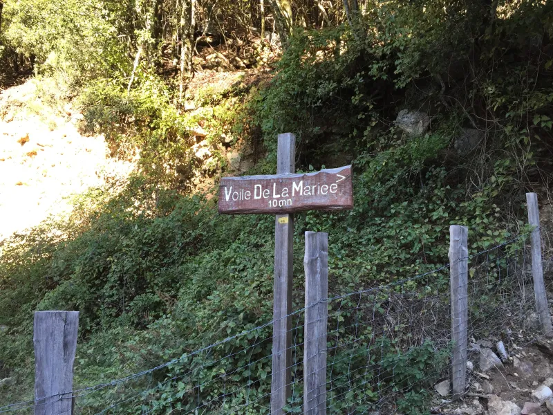 Le panneau du sentier du Voile de la Mariée, entouré de végétation à Bocognano.