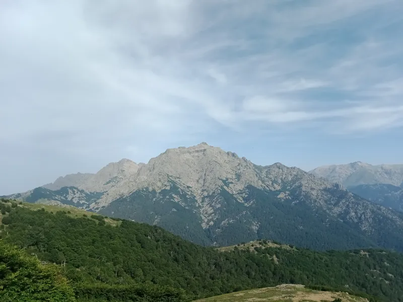 Le Monte d’Oro et les versants boisés vus depuis Bocca Palmente.